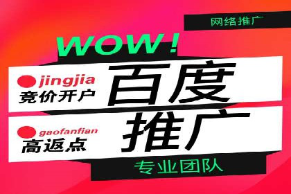 百度竞价代运营公司案例分析：客户转化率提升50%