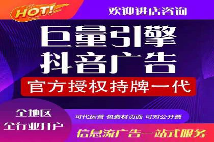 媒体平台的信息流广告代理服务案例探讨