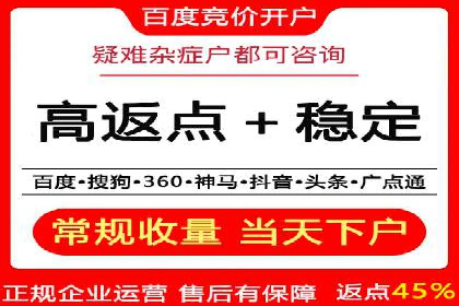 百度竞价公司成功案例：如何实现ROI最大化